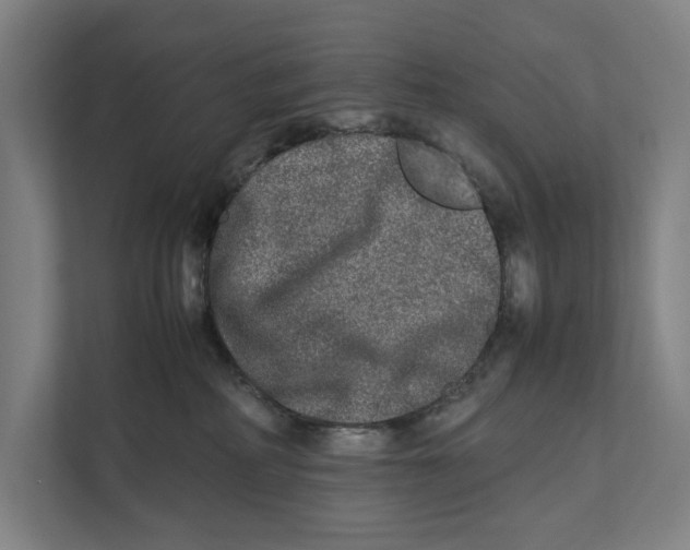 X0000111840234200908201223