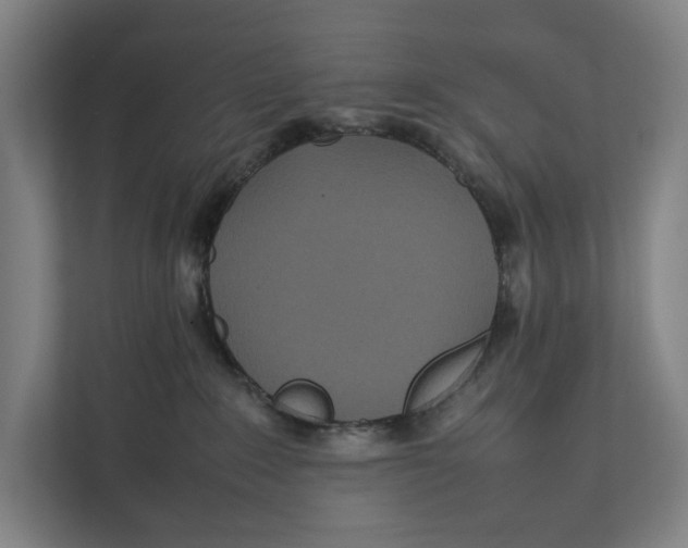 X0000111840235200908201223