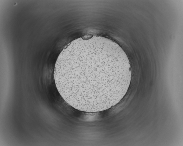 X0000111840240200908201223