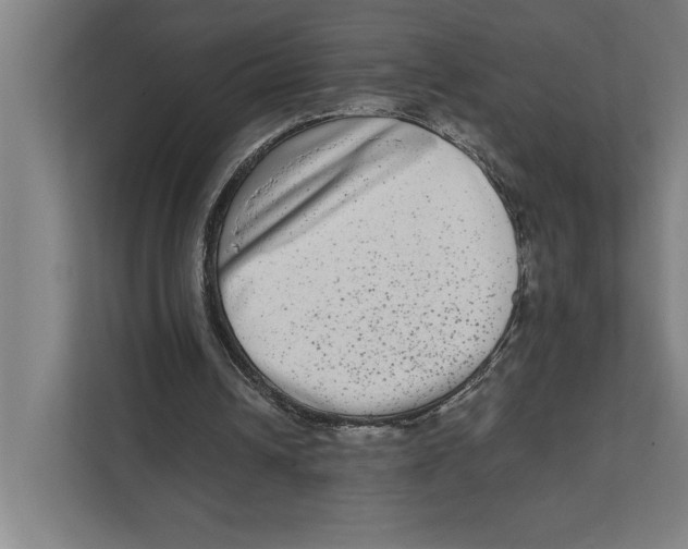 X0000111840242200908201222