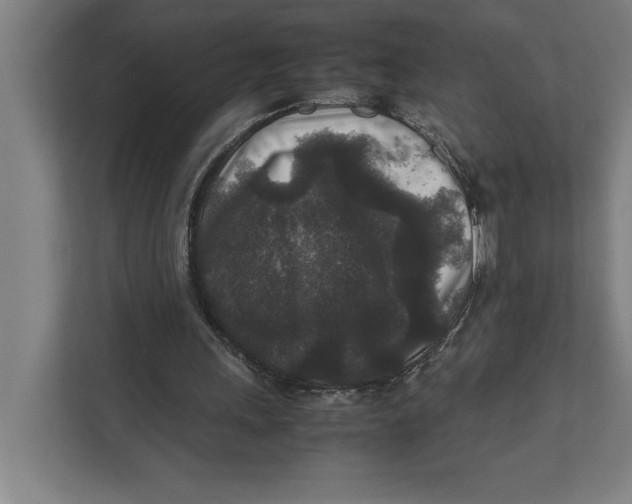 X0000111840243200908201222