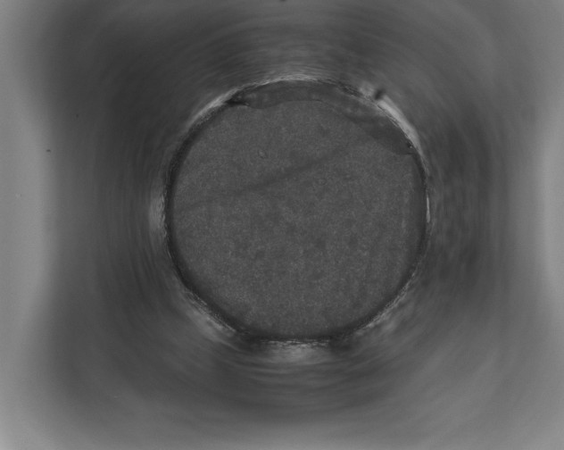 X0000111840249200908201223