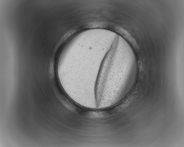 X0000111840250200908201223