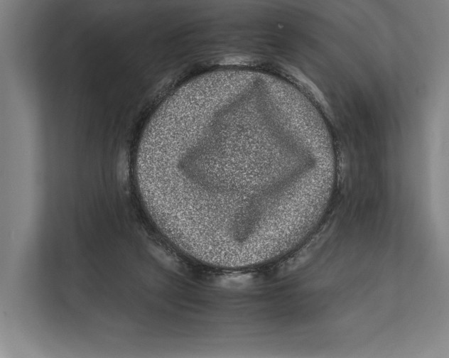 X0000111840257200908201223