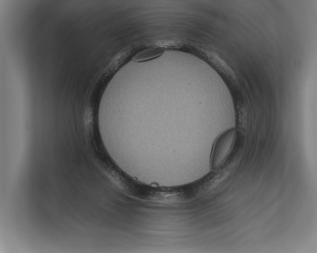 X0000111840260200908201223