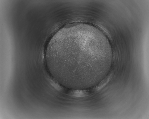 X0000111840261200908201223