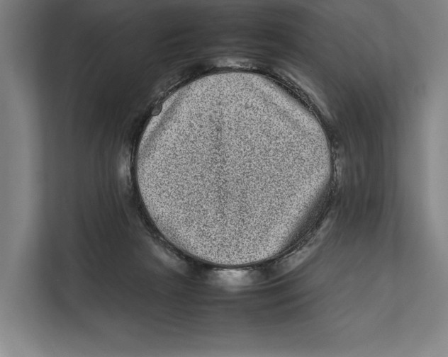 X0000111840265200908201223