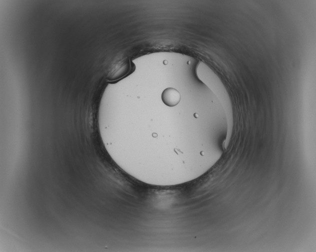 X0000111840268200908201223