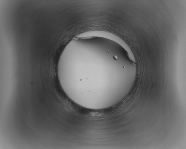 X0000111840272200908201223