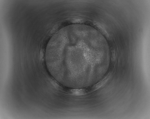 X0000111840273200908201223