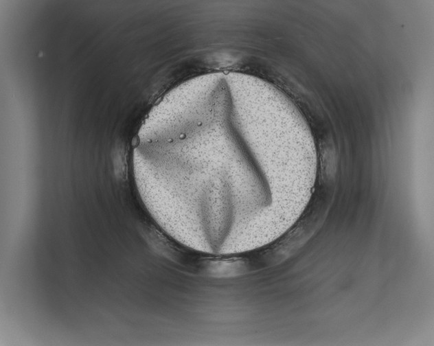 X0000111840274200908201223