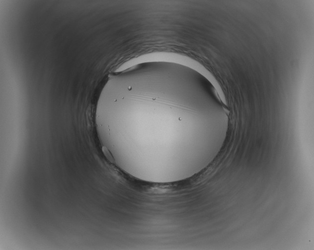 X0000111840280200908201223