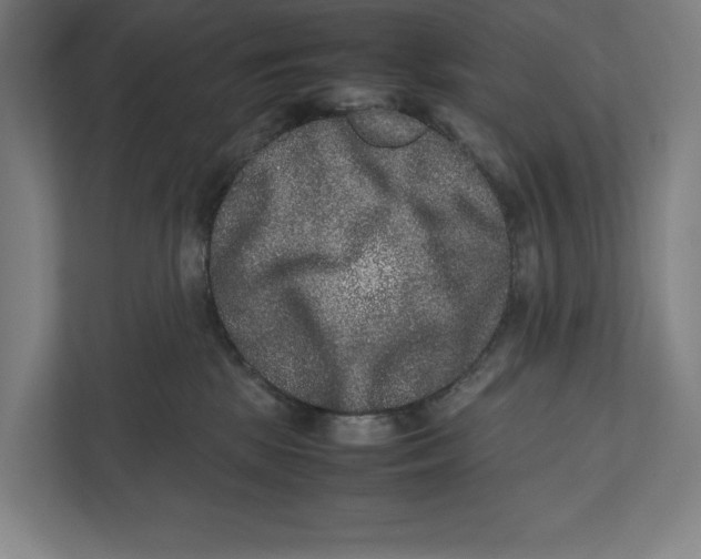 X0000111840281200908201223