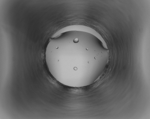 X0000111840284200908201223