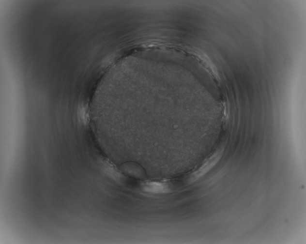 X0000111840285200908201223