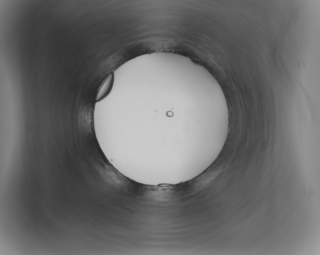 X0000111840288200908201223