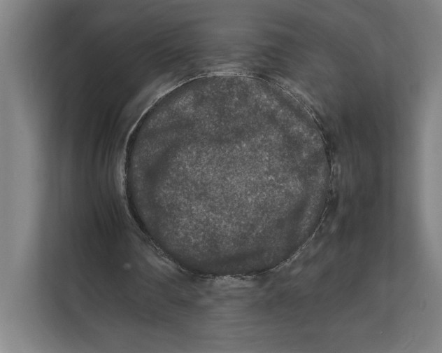 X0000111840290200908201222