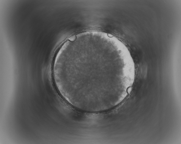 X0000111840293200908201222