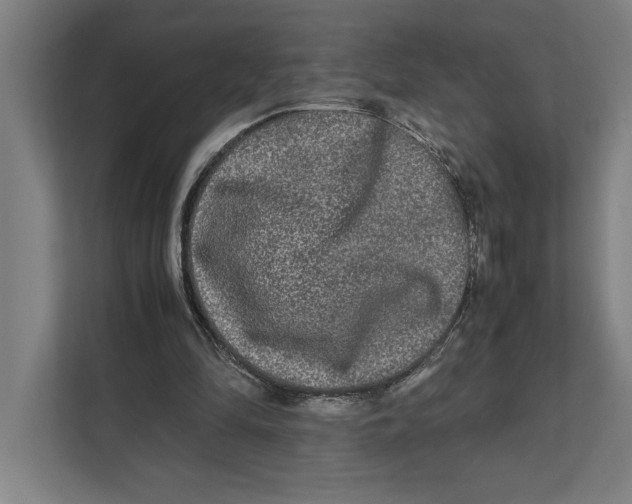 X0000111840294200908201222