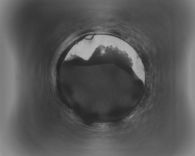 X0000111840295200908201222