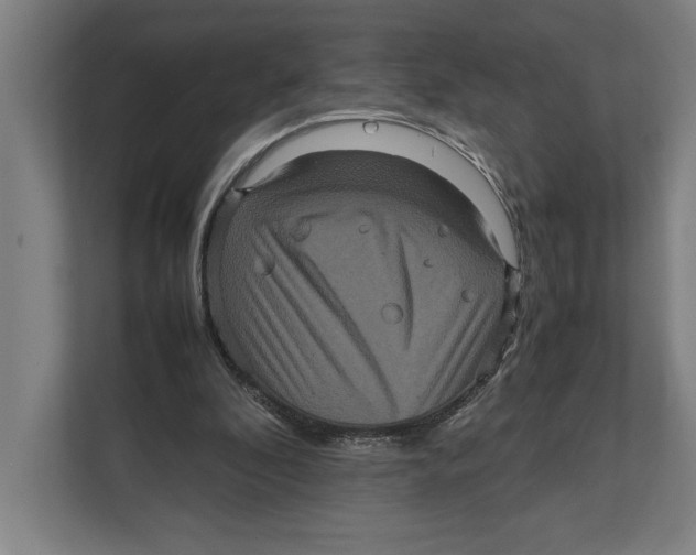 X0000111840296200908201222