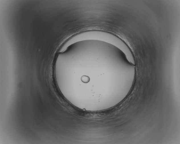 X0000111840297200908201222