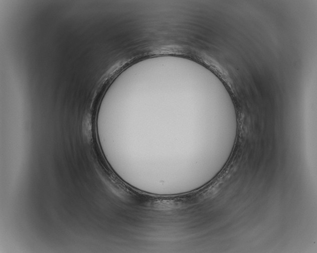 X0000111840298200908201222