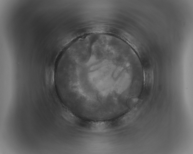 X0000111840301200908201222