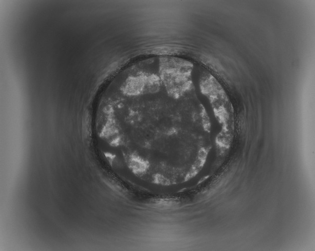 X0000111840303200908201222