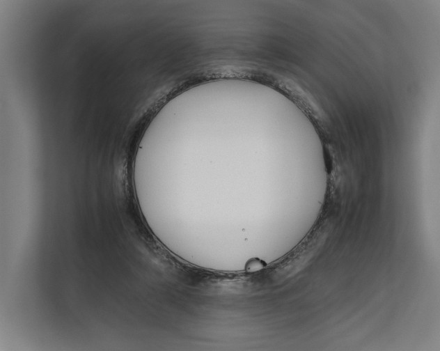 X0000111840306200908201222