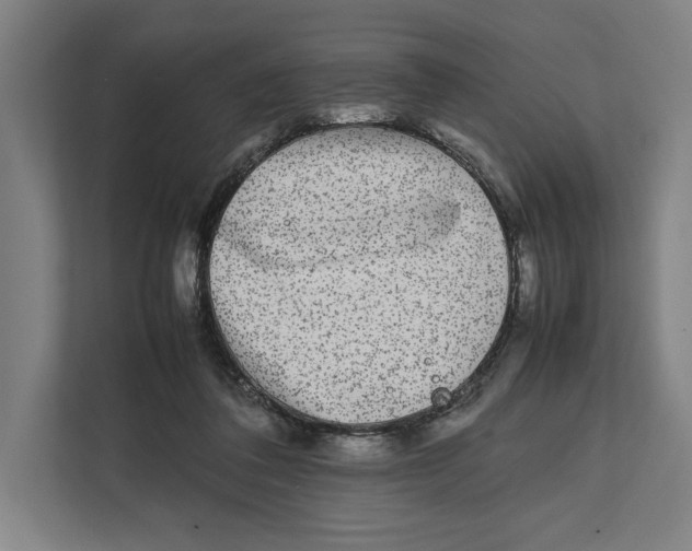 X0000111840308200908201222