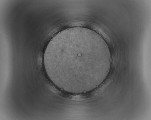 X0000111840309200908201222