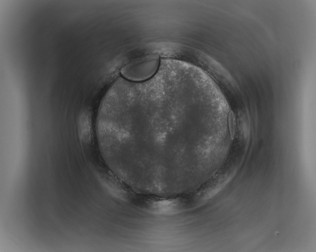 X0000111840312200908201222