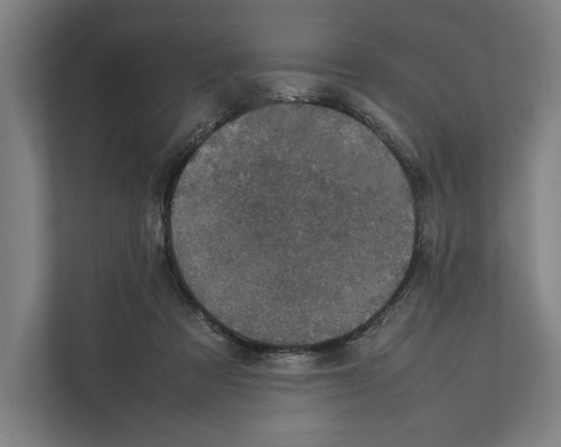 X0000111840313200908201222