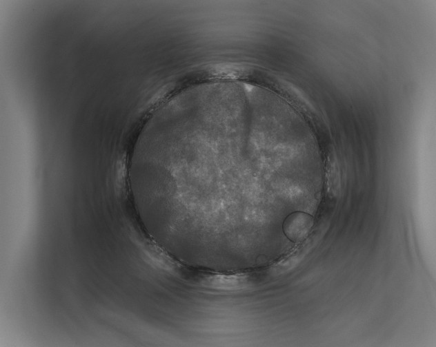 X0000111840314200908201222