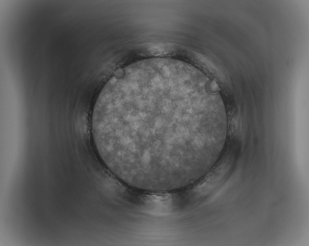 X0000111840317200908201222