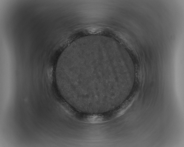 X0000111840319200908201222