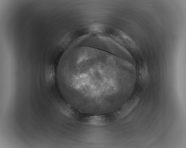 X0000111840320200908201222