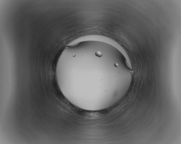 X0000111840324200908201222