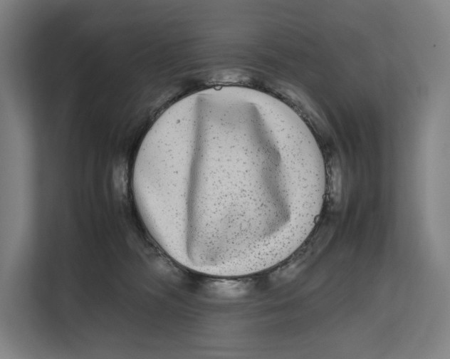 X0000111840326200908201222