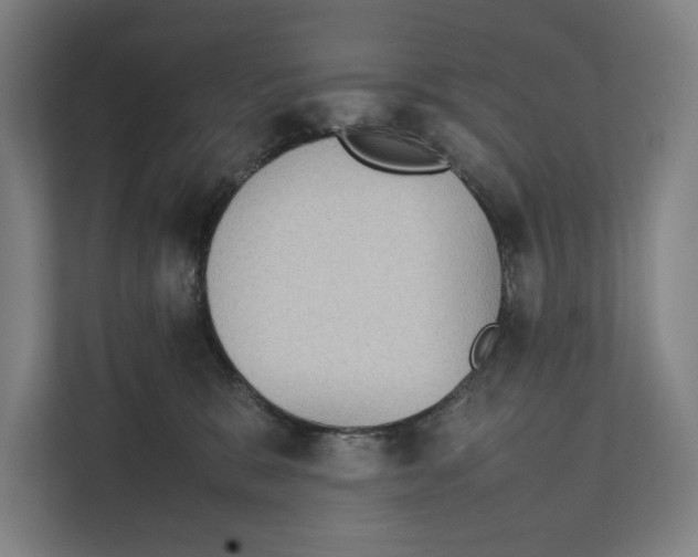 X0000111840327200908201222