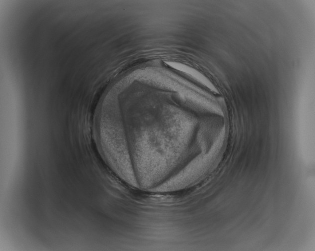 X0000111840328200908201222