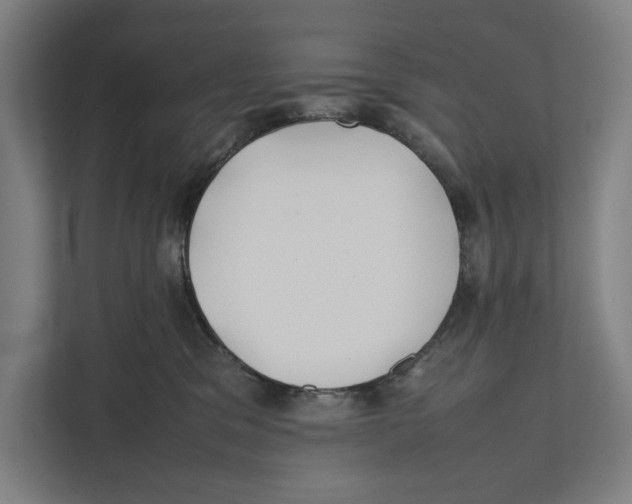 X0000111840329200908201222