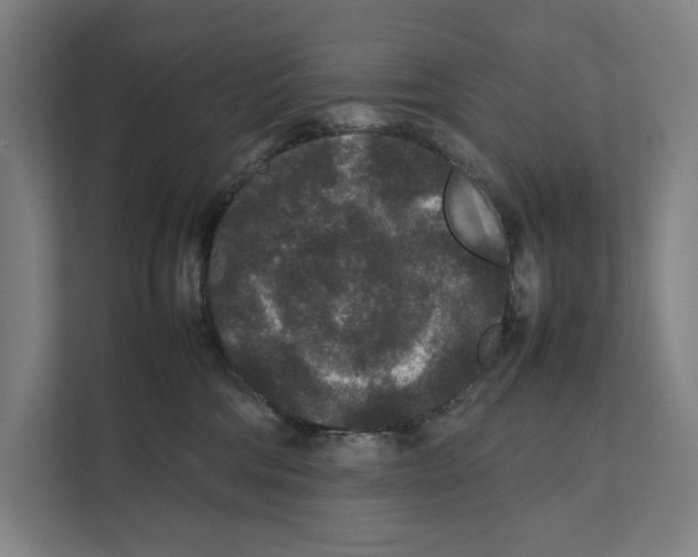 X0000111840330200908201222