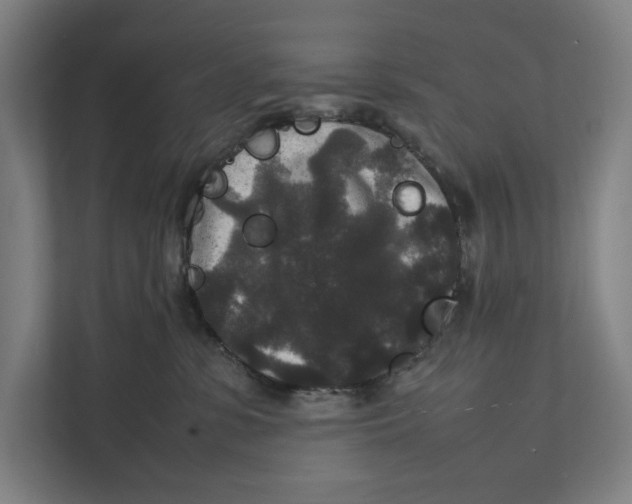 X0000111840331200908201222