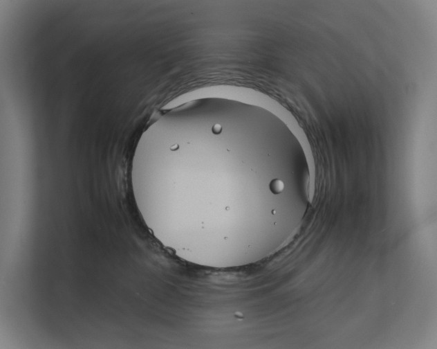 X0000111840332200908201222