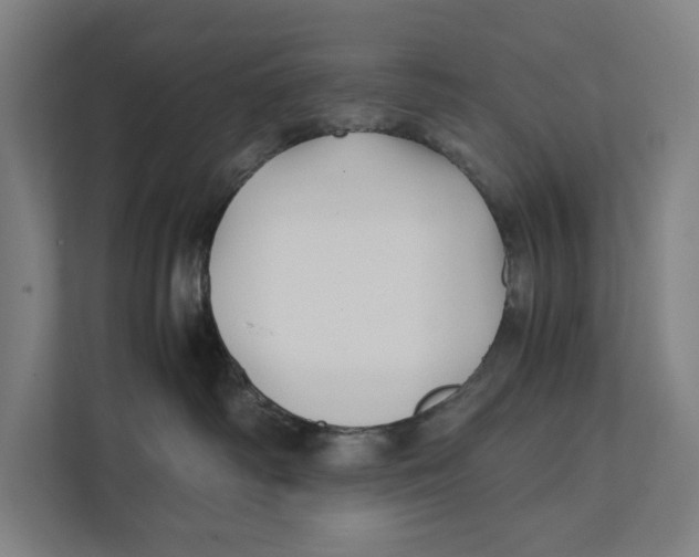 X0000111840334200908201222