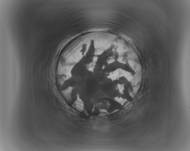 X0000111840337200908201221