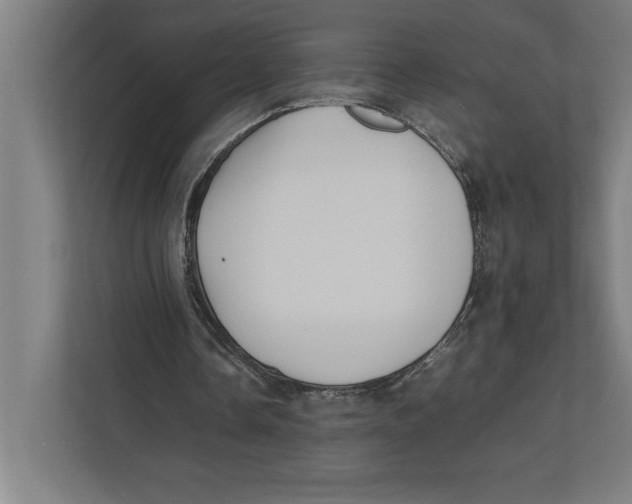 X0000111840338200908201221