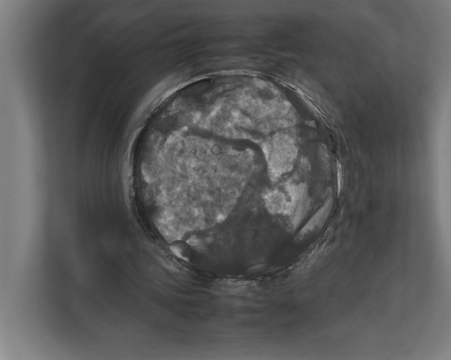 X0000111840339200908201221